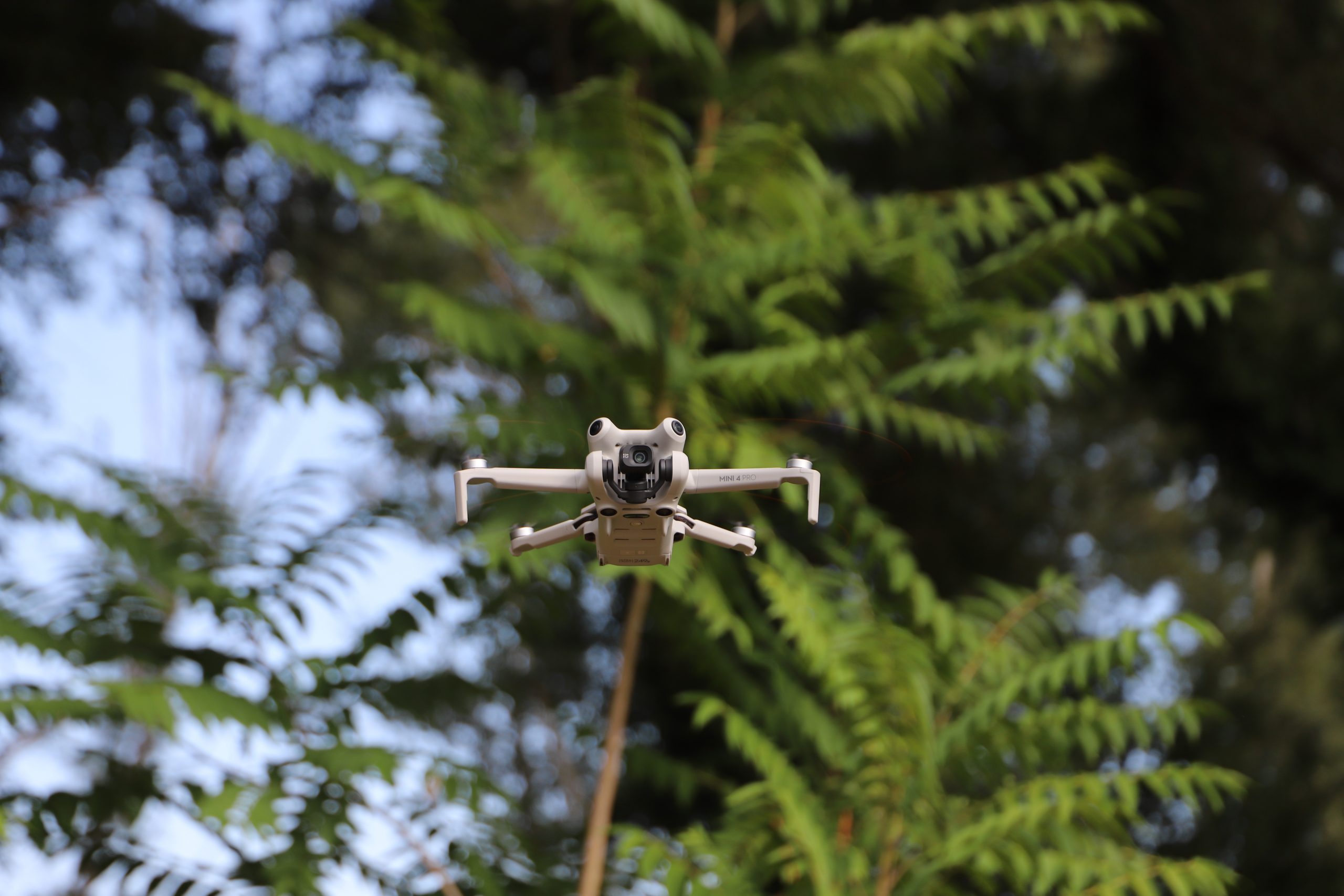 Perspectiva de evento: Cómo capturar la escala y la emoción al mismo tiempo